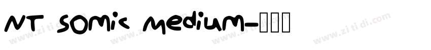 NT Somic Medium字体转换